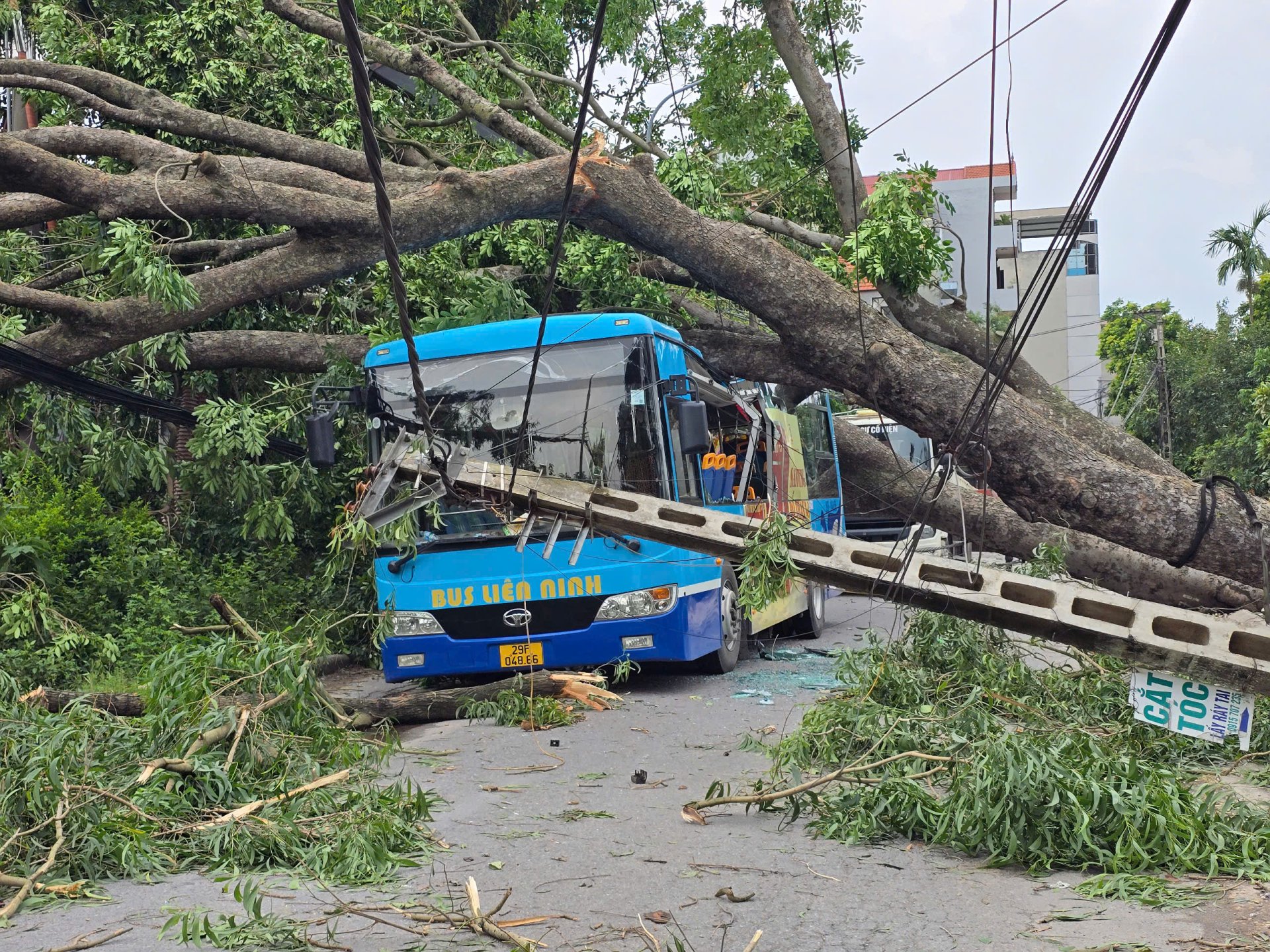 Ghi nhận sáng 20/7 tại nhiều tuyến phố Hà Nội cho thấy khung cảnh vẫn ngổn ngang sau trận giông lốc chiều hôm trước. Nhiều thân cây cổ thụ bật gốc, đổ chắn ngang đường, cành lá vương vãi khắp mặt phố khiến việc đi lại của người dân gặp nhiều khó khăn. Đáng chú ý, không ít xe buýt, ô tô bị cây đè lên hoặc mắc kẹt giữa hiện trường, chưa thể di chuyển ra ngoài.
