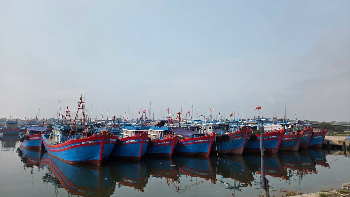 Thanh Hóa kêu gọi các phương tiện tàu thuyền khẩn trương vào nơi tránh trú bão an toàn. Ảnh: Thanh Tâm