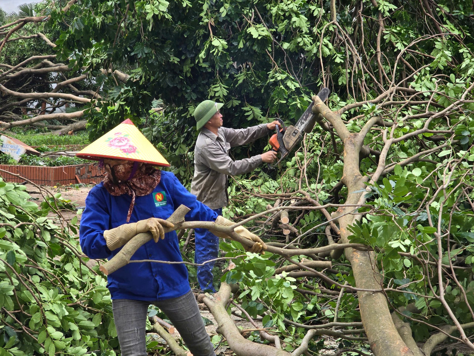 Ngay từ sáng sớm, lực lượng chức năng và công nhân cây xanh đã khẩn trương cưa cắt, thu dọn cây đổ để khắc phục hậu quả.