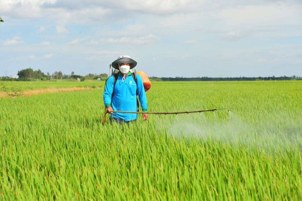 Nông dân Đồng Tháp chủ động phun thuốc bảo vệ thực vật đúng thời điểm, tuân thủ nguyên tắc '4 đúng' nhằm phòng trừ sâu bệnh hiệu quả và bảo vệ môi trường. Ảnh: Lê Hoàng Vũ.