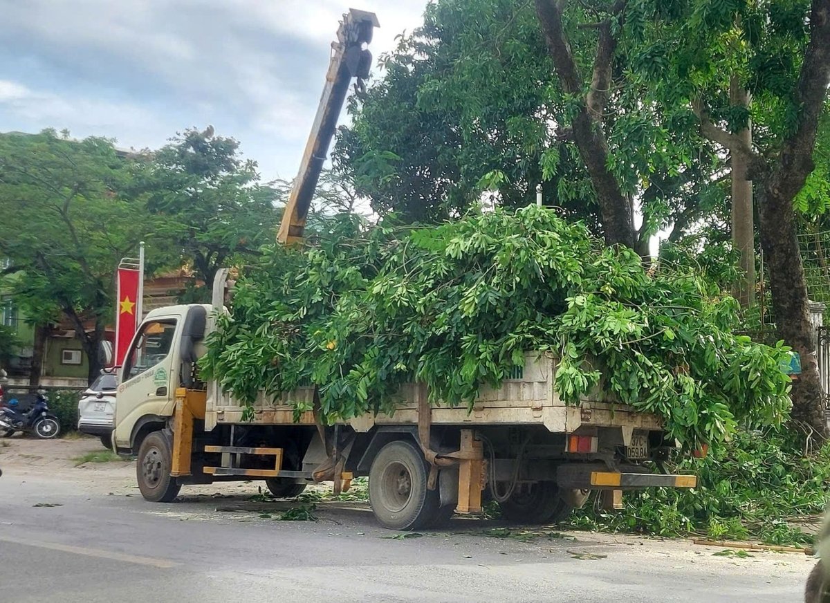 Cắt tỉa cây xanh tại phường Thành Vinh nhằm hạn chế cây gãy, đổ khi gió bão. Ảnh: Đình Tiệp.
