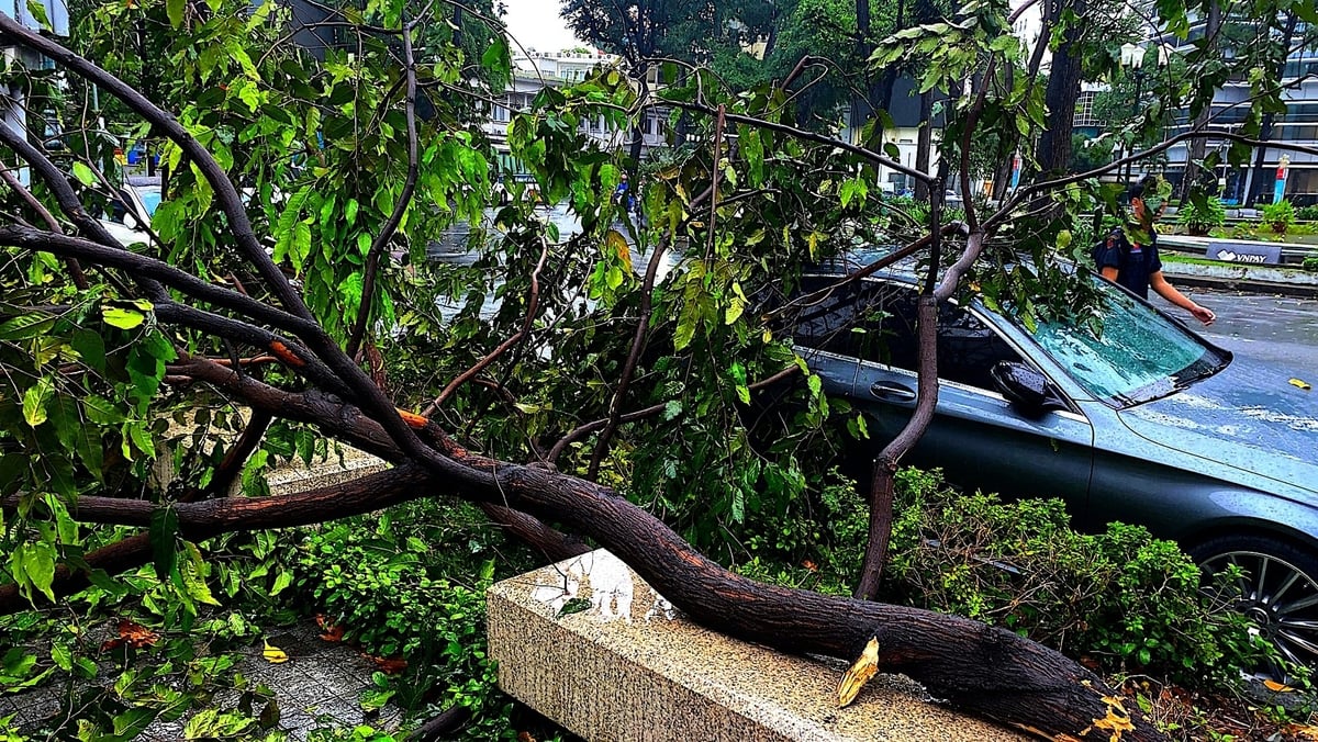 Cây xanh trên nhiều tuyến đường ở TP.HCM đổ ngã, đè xe ô tô, gây ách tắc giao thông cục bộ. May mắn không ghi nhận thiệt hại về người. Ảnh: Nguyễn Tiến.