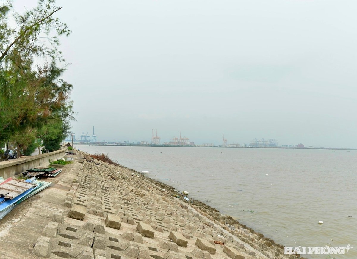 Tuyến đê biển ở đặc khu Cát Hải, thành phố Hải Phòng. Ảnh: Báo Hải Phòng Plus.