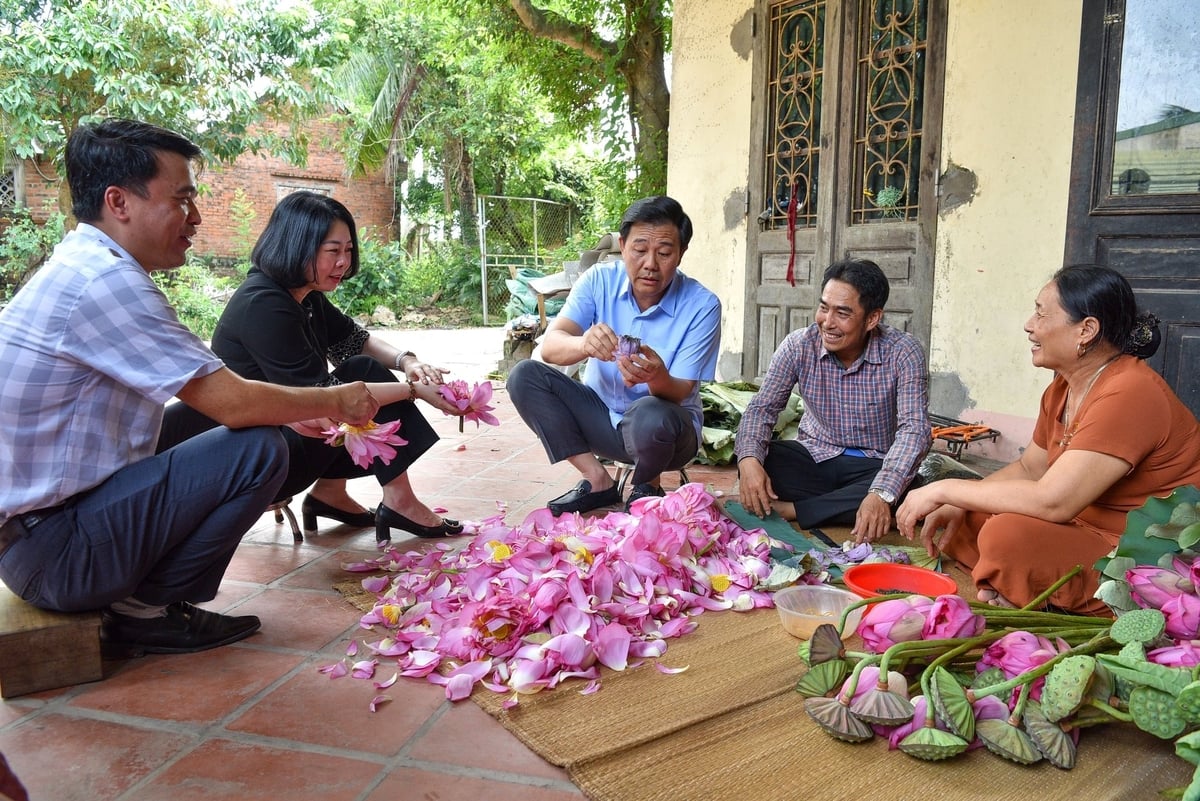 Ông Nguyễn Xuân Đại (giữa) kiểm tra sản phẩm trà sen của bà Nguyễn Thị Toàn ở xã Chuyên Mỹ. Ảnh: Đinh Thanh Huyền.