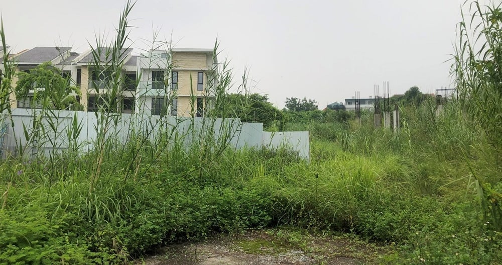 Dự án Ha Noi Garden City rơi vào cảnh tiêu điều, cỏ mọc um tùm. Ảnh: PT.