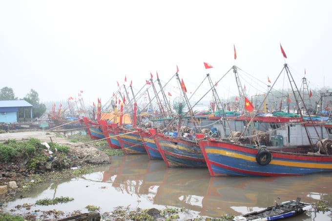 Tàu thuyền ngư dân nối đuôi nhau nằm bờ tại cảng cá Tân Sơn. Ảnh: Trung Quân.