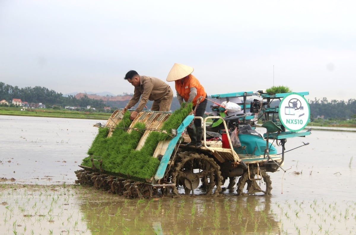 Với chiếc máy cấy này, chỉ 2 người có thể nhanh chóng cấy xong cánh đồng lớn trong một buổi. Ảnh: Đinh Mười.