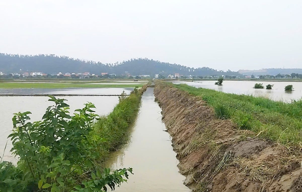 Đoạn mương được anh Nguyễn Văn Hùng huy động lực lượng để khơi thông suốt đêm 19/7. Ảnh: Đinh Mười.