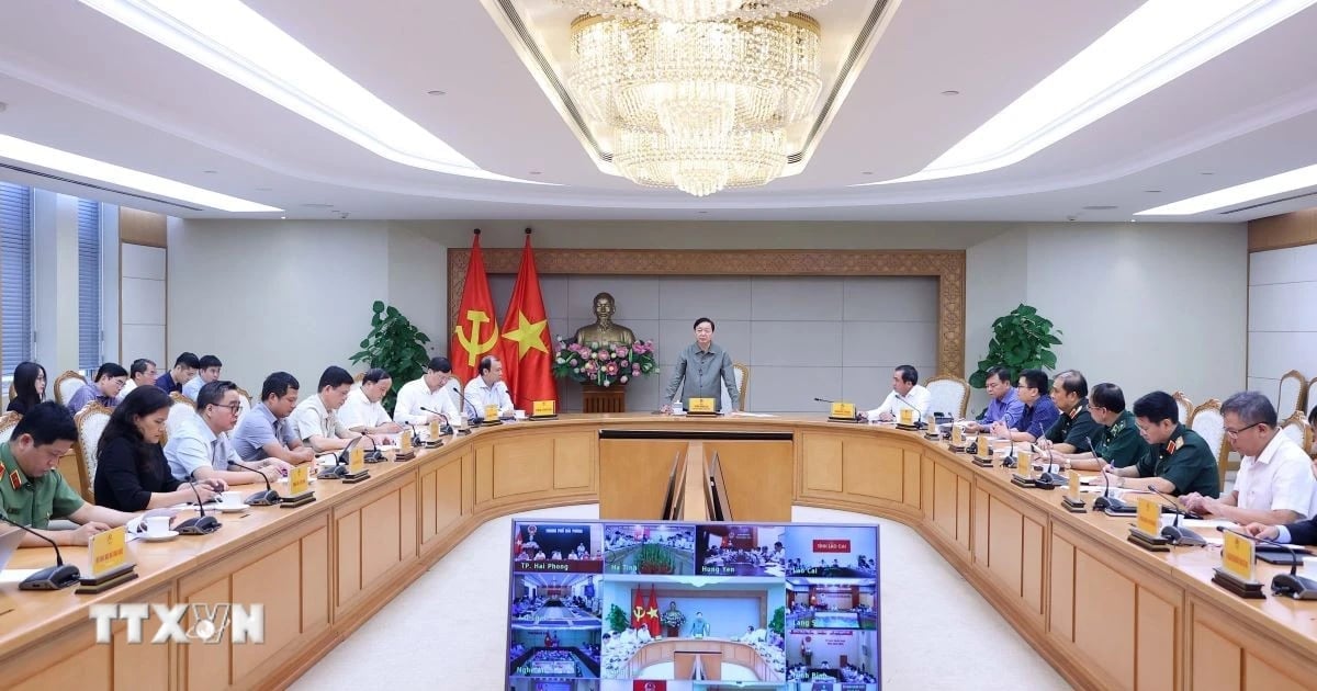 Phó Thủ tướng Trần Hồng Hà chủ trì cuộc họp ứng phó với cơn bão số 3 (bão Wipha). Ảnh: TTXVN. Phó Thủ tướng Trần Hồng Hà chủ trì cuộc họp ứng phó với cơn bão số 3 (bão Wipha). Ảnh: TTXVN.
