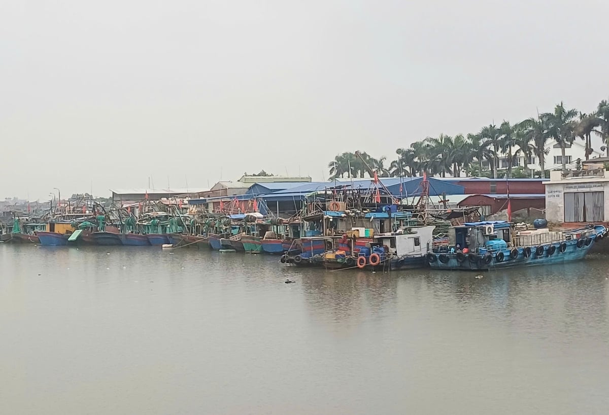 Ban Chỉ huy Phòng thủ dân sự thành phố Hải Phòng yêu cầu dừng các hoạt động khai thác, nuôi trồng, đánh bắt thủy hải sản và các hoạt động khác ở khu vực cửa sông, ven biển, ngoài khơi để phòng chống bão số 3. Ảnh: Hoàng Phong.