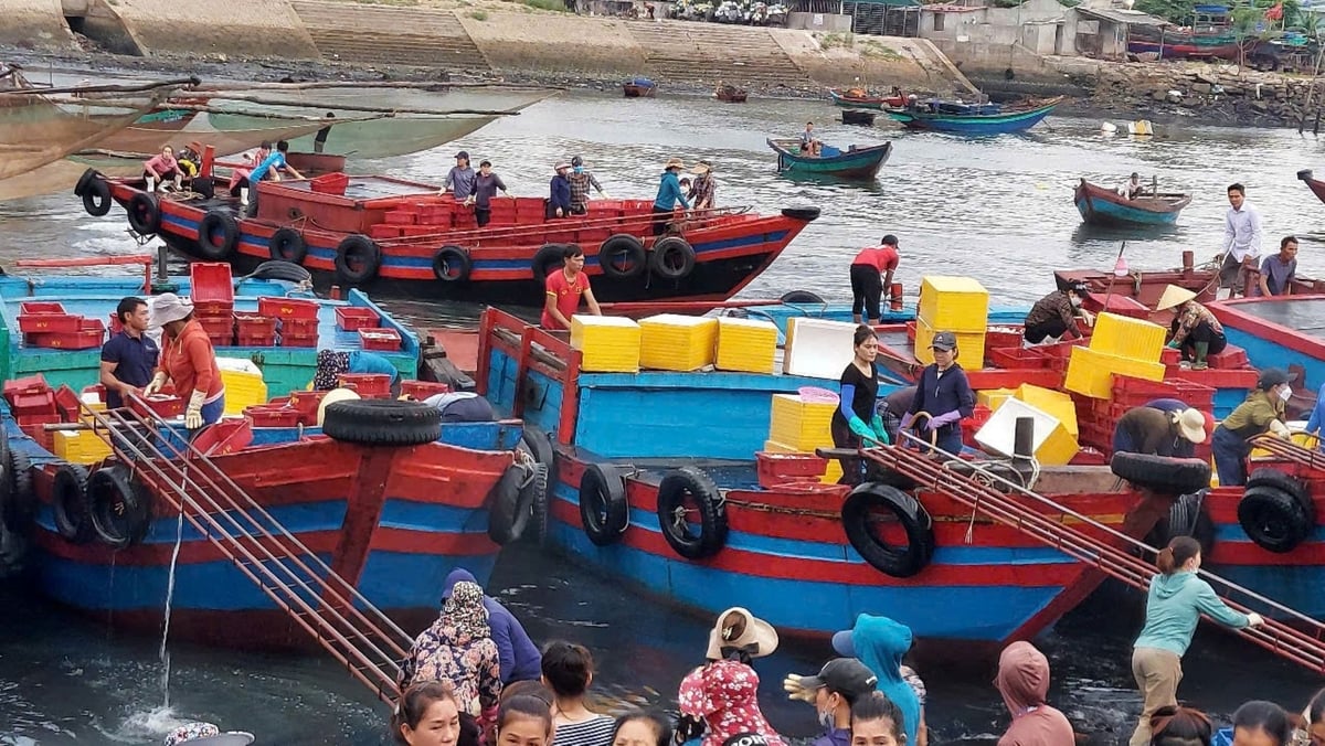 Các tàu thuyền ở Nghệ An đang khẩn trương vào bờ để kịp bán hải sản và tránh, trú bão. Ảnh: Đình Tiệp.