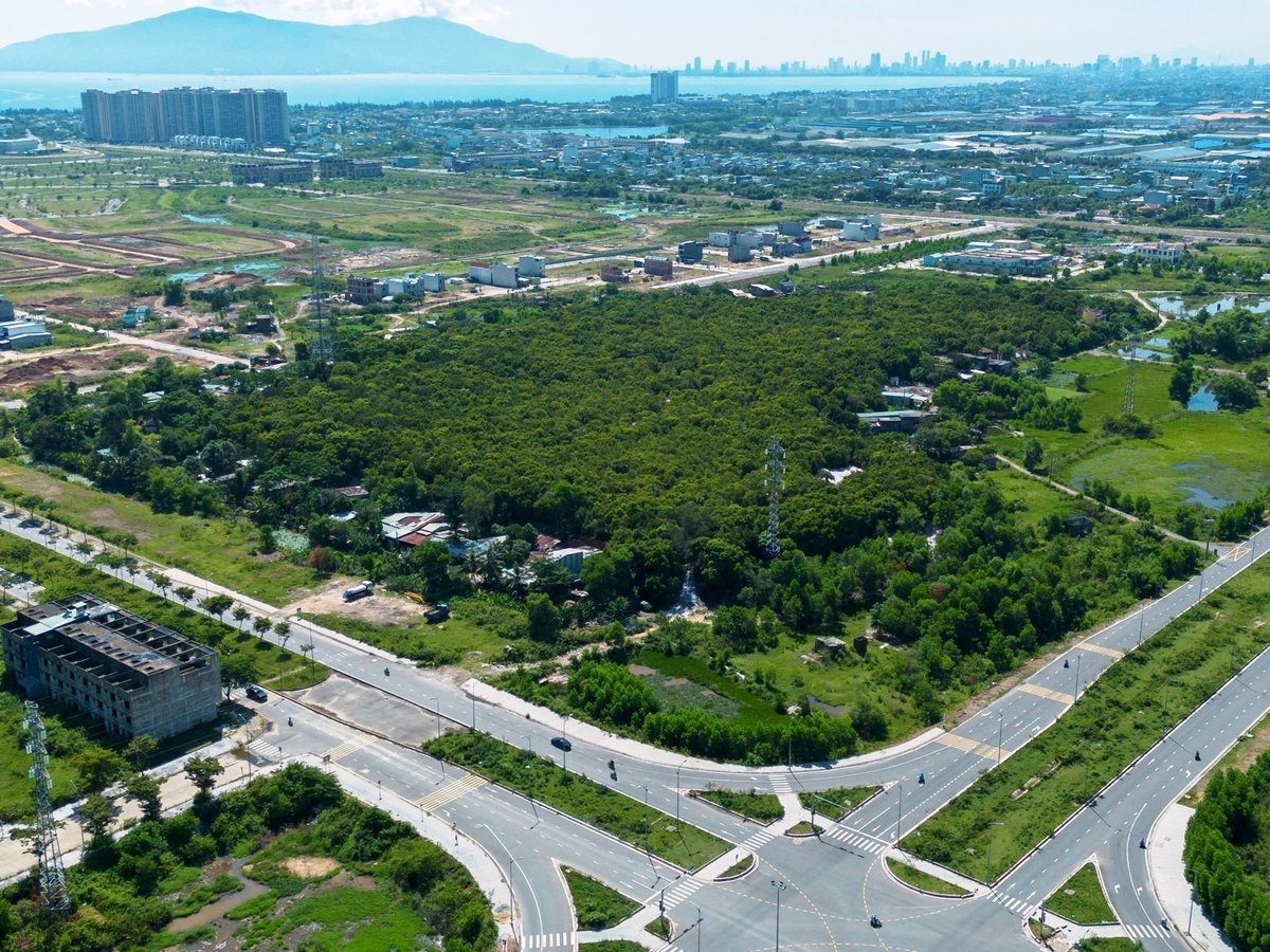 Rừng Trung Sơn xanh mát nằm 'lọt thỏm' giữa xung quanh là hàng loạt dự án tái định cư, khu công nghiệp. Ảnh: Lan Anh Rừng Trung Sơn xanh mát nằm 'lọt thỏm' giữa xung quanh là hàng loạt dự án tái định cư, khu công nghiệp. Ảnh: Lan Anh