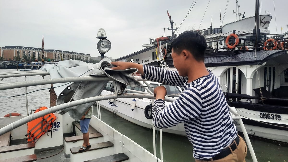 Các chủ tàu du lịch tiến hành chằng buộc tàu trước khi bão đổ bộ. Ảnh: Nguyễn Thành.