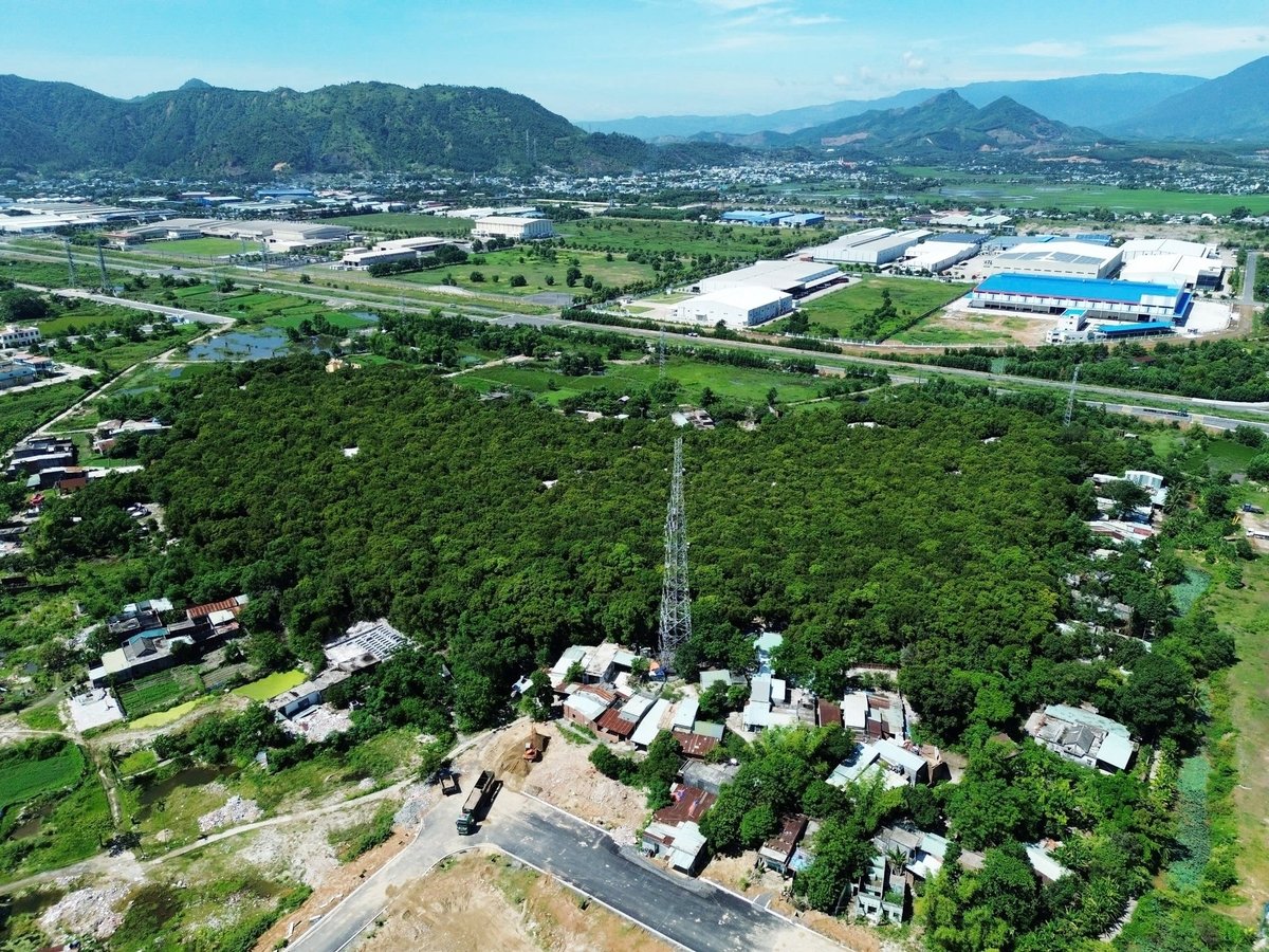 Bao đời nay dân làng Trung Sơn gìn giữ cánh rừng như báu vật. Ảnh: Lan Anh Bao đời nay dân làng Trung Sơn gìn giữ cánh rừng như báu vật. Ảnh: Lan Anh