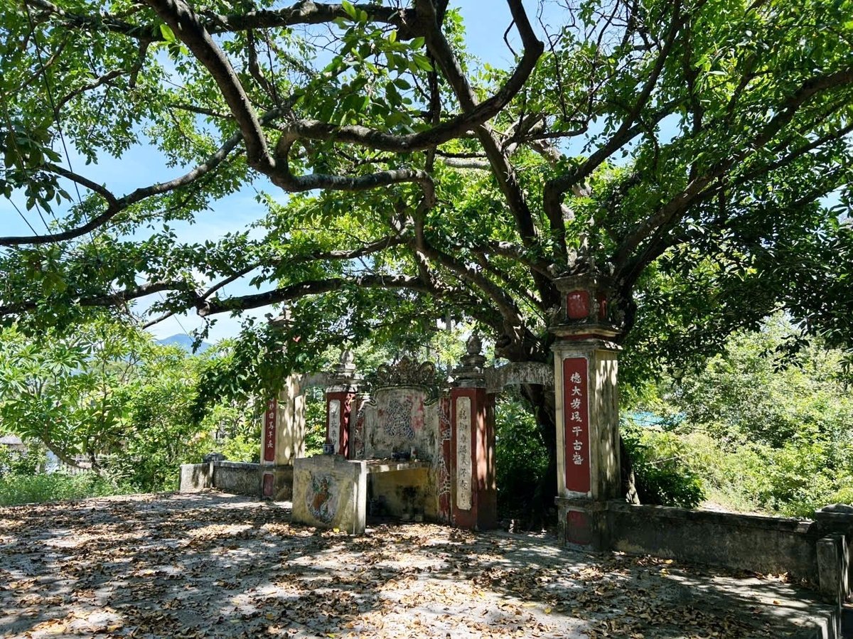 Những ngày giỗ làng 14 tháng 4 âm lịch hàng năm, dân lại về rừng, quây quần bên đình làng thắp hương, kể chuyện rừng, chuyện làng cho con cháu. Ảnh: Lan Anh Những ngày giỗ làng 14 tháng 4 âm lịch hàng năm, dân lại về rừng, quây quần bên đình làng thắp hương, kể chuyện rừng, chuyện làng cho con cháu. Ảnh: Lan Anh