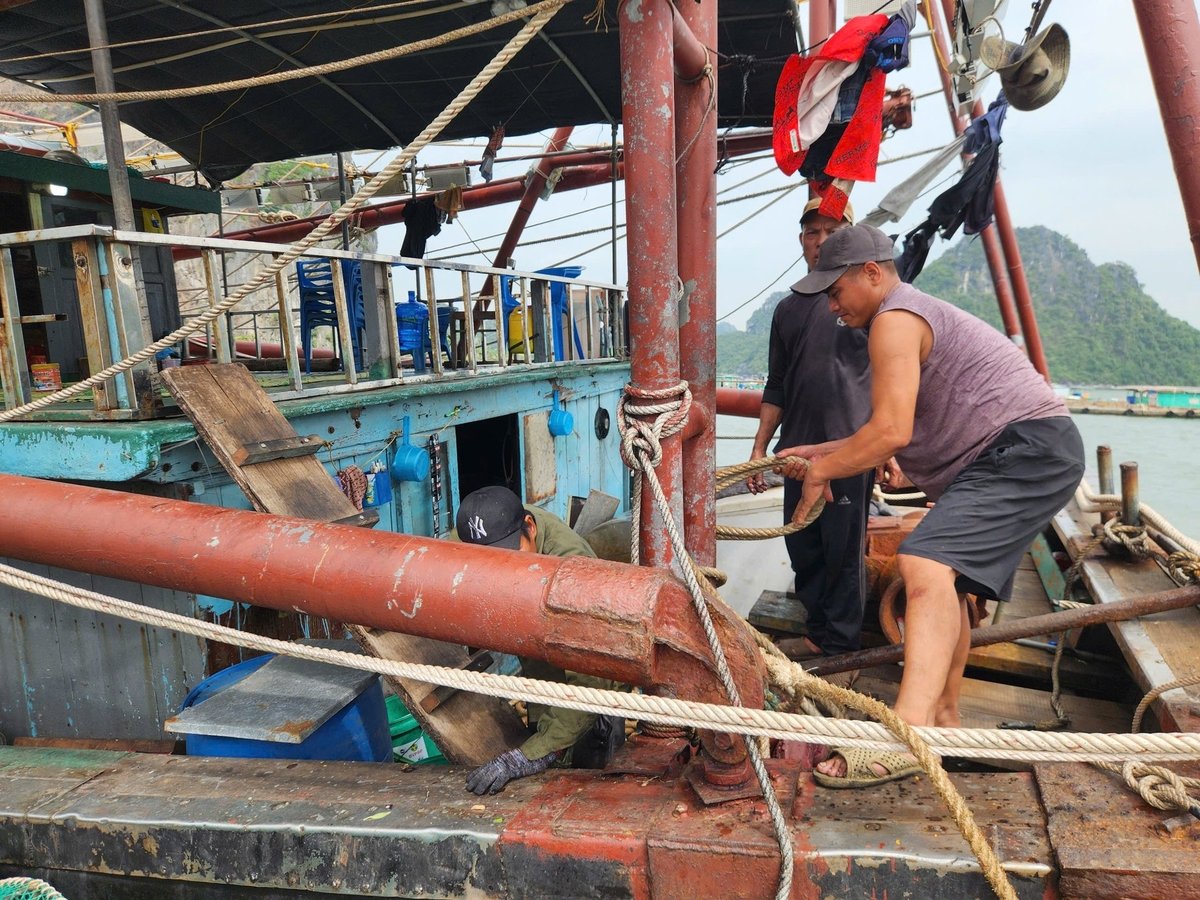 Người dân chằng buộc tàu cẩn thận trước khi bão đổ bộ. Ảnh: Nguyễn Thành.