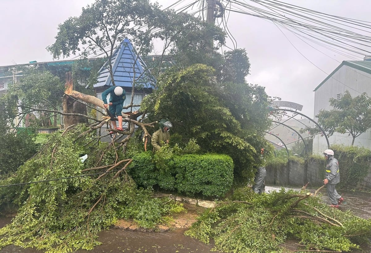 Người dân và chính quyền địa phương cùng cắt dọn cây bị đổ ngã tại phường 2, xã Bảo Lộc. Ảnh: P.H. Người dân và chính quyền địa phương cùng cắt dọn cây bị đổ ngã tại phường 2, xã Bảo Lộc. Ảnh: P.H.