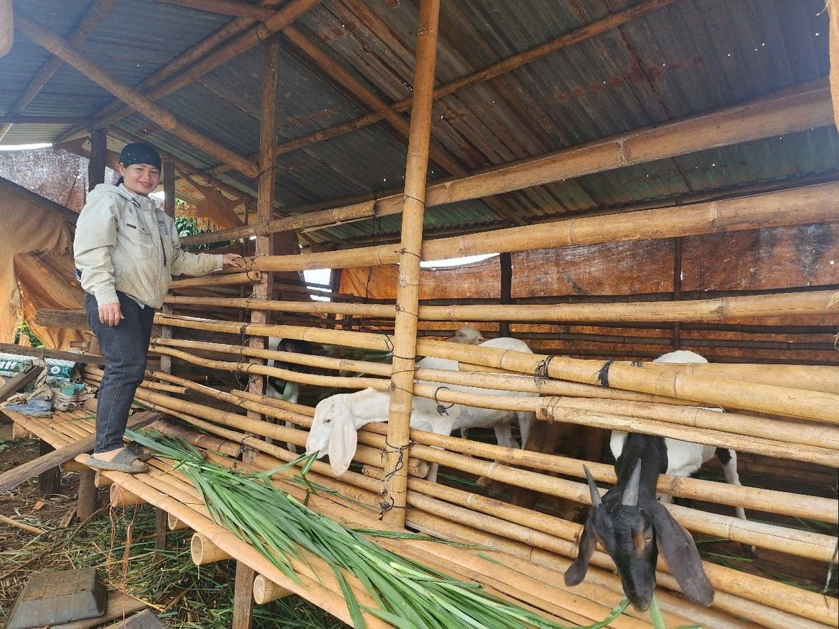Trong bối cảnh nhiều địa phương gặp khó khăn trong triển khai chính sách giảm nghèo do thiếu nguồn lực, mô hình hỗ trợ con giống gắn với hướng dẫn kỹ thuật đã giúp nhiều hộ thoát nghèo. Ảnh: TT. Trong bối cảnh nhiều địa phương gặp khó khăn trong triển khai chính sách giảm nghèo do thiếu nguồn lực, mô hình hỗ trợ con giống gắn với hướng dẫn kỹ thuật đã giúp nhiều hộ thoát nghèo. Ảnh: TT.