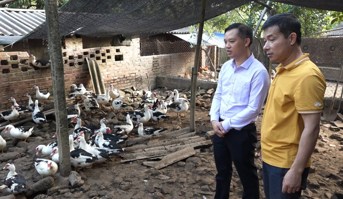 Anh Đinh Văn Thắng (áo vàng), Giám đốc HTX Thắng Huệ, chia sẻ về quy trình nuôi ngan sao. Ảnh: Nguyễn Thành. Anh Đinh Văn Thắng (áo vàng), Giám đốc HTX Thắng Huệ, chia sẻ về quy trình nuôi ngan sao. Ảnh: Nguyễn Thành.