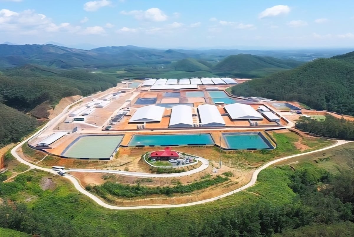Cụm trang trại xanh hiện đại Nuôi heo Công nghê cao Hải Hà (trại Hải Hà) tại huyện Hải Hà (cũ), tỉnh Quảng Ninh. Ảnh: Cường Vũ. 