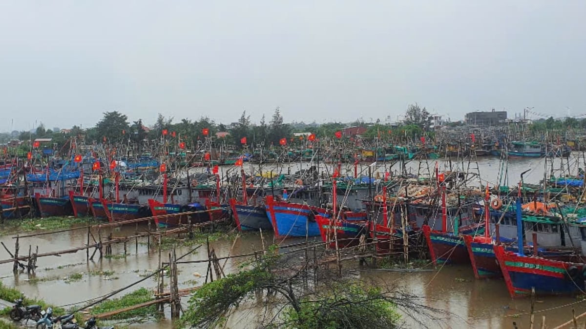 Toàn bộ 1.861 tàu cá đã vào nơi neo đậu an toàn. Ảnh: Xuân Hào. Toàn bộ 1.861 tàu cá đã vào nơi neo đậu an toàn. Ảnh: Xuân Hào.