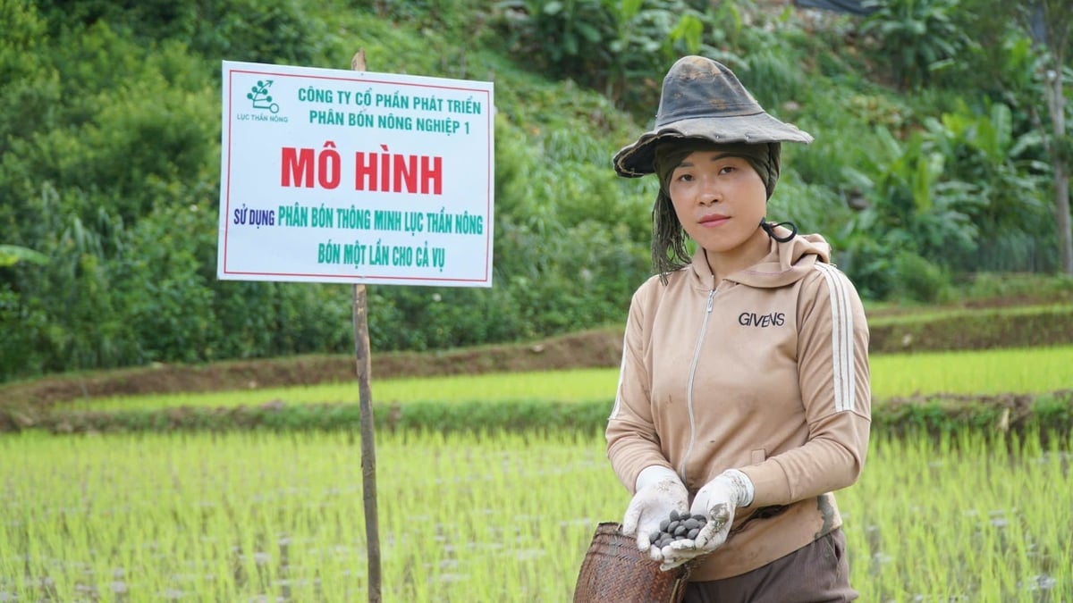 Chị Tòng Thị Hoa là hộ đầu tiên ở địa phương thử nghiệm mô hình bón phân vùi. Ảnh: Đức Bình.