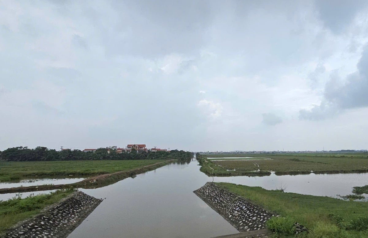 Đến chiều 21/7, việc hạ mực nước đệm tại các hệ thống thủy lợi cơ bản đã hoàn thành, chỉ một số nơi gặp khó do mực nước sông cao, doanh nghiệp phải sử dụng máy bơm. Ảnh: Đinh Mười.