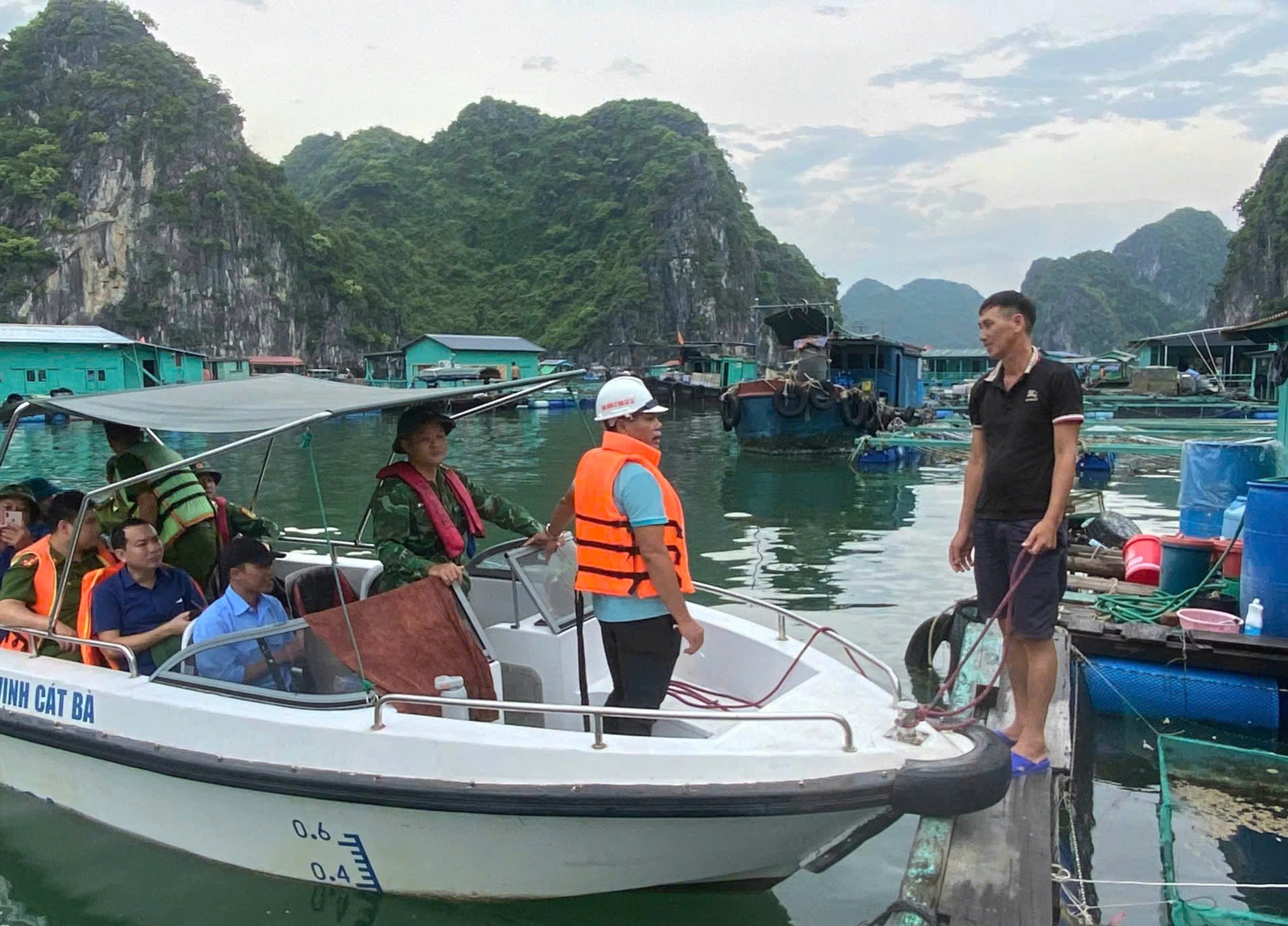 hai-phong-dac-khu-bach-long-vi-mua-rat-to-gio-giat-cap-10-205224_874