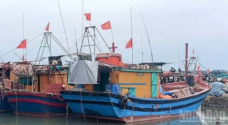 Hưng Yên di dời lao động ngoài biển, người dân vùng nguy hiểm vào nơi an toàn, trước 12h ngày 21/7. Ảnh: Mai Tú. Hưng Yên di dời lao động ngoài biển, người dân vùng nguy hiểm vào nơi an toàn, trước 12h ngày 21/7. Ảnh: Mai Tú.