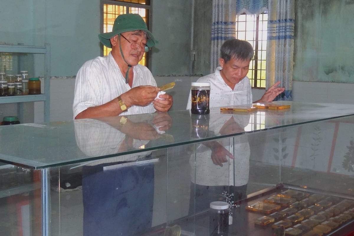 Khu vực trưng bày hiện vật tại Phòng Khoa học và Bảo tồn đất ngập nước (Khu Bảo tồn thiên nhiên Lung Ngọc Hoàng). Ảnh: Kim Anh. Khu vực trưng bày hiện vật tại Phòng Khoa học và Bảo tồn đất ngập nước (Khu Bảo tồn thiên nhiên Lung Ngọc Hoàng). Ảnh: Kim Anh.