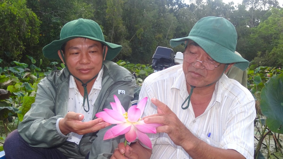 Khu bảo tồn thiên nhiên Lung Ngọc Hoàng hiện có nhiều phân khu thực hiện các chức năng bảo vệ, phục hồi hệ sinh thái tự nhiên. Ảnh: Kim Anh. Khu bảo tồn thiên nhiên Lung Ngọc Hoàng hiện có nhiều phân khu thực hiện các chức năng bảo vệ, phục hồi hệ sinh thái tự nhiên. Ảnh: Kim Anh.