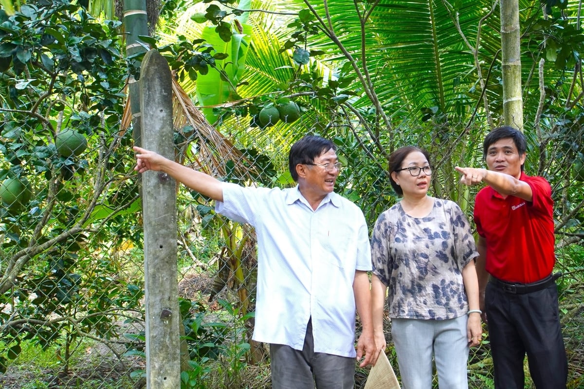 Với nguồn vốn vay từ Agribank chi nhánh Thuận Hòa Sóc Trăng, vợ chồng ông Dương Thái Hoàng có điều kiện mở rộng quy mô trồng trọt, kinh doanh. Ảnh: Kim Anh.