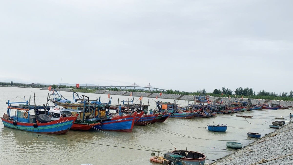 635 phương tiện tàu thuyền nội và ngoại tỉnh Hà Tĩnh neo đậu an toàn tại các cảng cá trên địa bàn. Ảnh: Thanh Nga. 635 phương tiện tàu thuyền nội và ngoại tỉnh Hà Tĩnh neo đậu an toàn tại các cảng cá trên địa bàn. Ảnh: Thanh Nga.