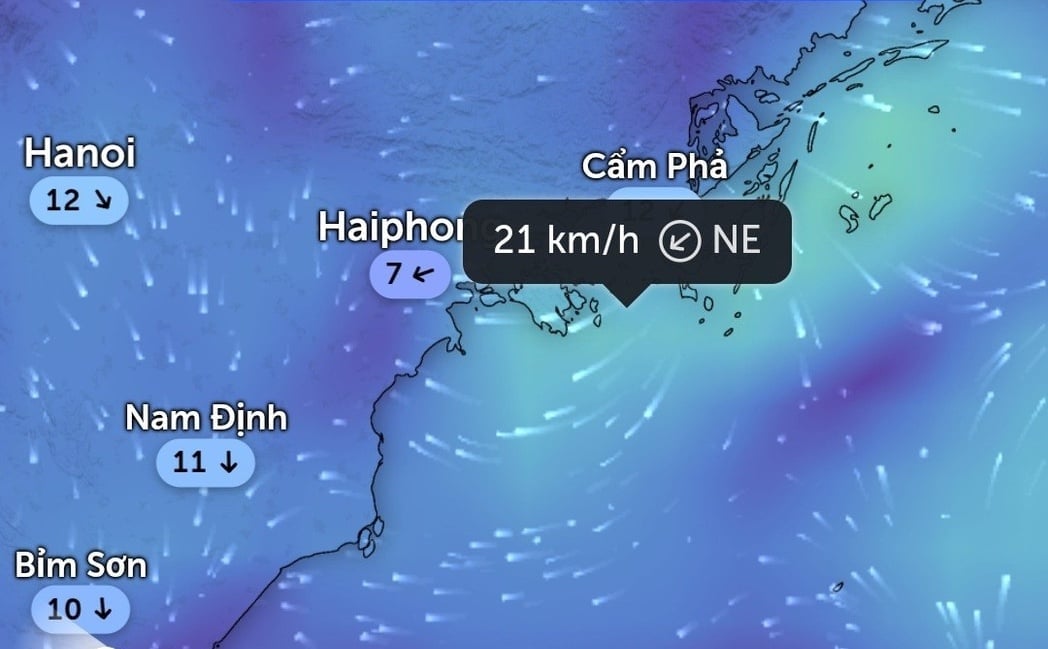 Dự báo gió bề mặt Vịnh Hạ Long vào thời điểm 13h45, ngày 19/7 (21km/h). Ảnh: FB Huy Nguyễn. Dự báo gió bề mặt Vịnh Hạ Long vào thời điểm 13h45, ngày 19/7 (21km/h). Ảnh: FB Huy Nguyễn.