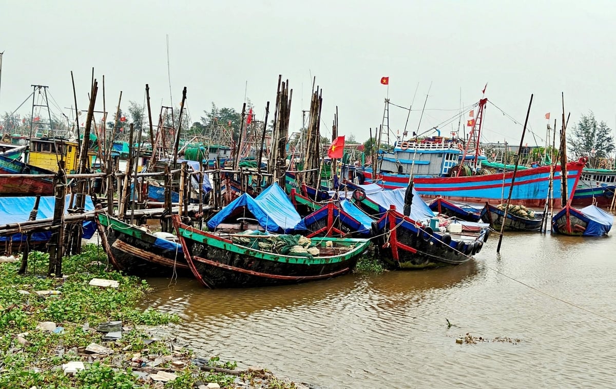 Toàn bộ tàu thuyền tại cảng cá Quần Vinh đã vào khu neo đậu an toàn. Ảnh: Bảo Thắng. Toàn bộ tàu thuyền tại cảng cá Quần Vinh đã vào khu neo đậu an toàn. Ảnh: Bảo Thắng.