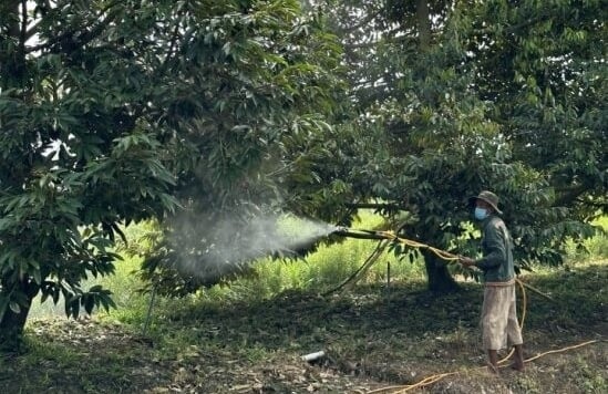 Sumitomo Chemical Việt Nam triển khai mô hình về sử dụng thuốc bảo vệ thực vật an toàn, hiệu quả cho nông dân trực tiếp tại đồng ruộng (huyện Châu Thành cũ), tỉnh Đồng Tháp. Ảnh: Sumitomo Chemical Việt Nam.