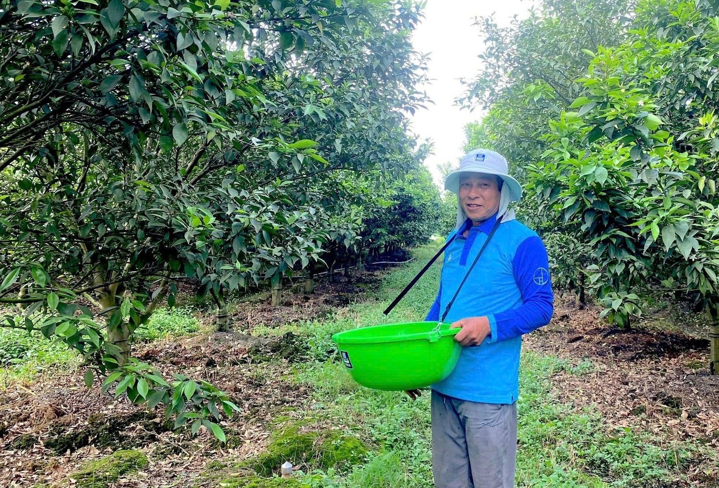 Nông dân trồng cam áp dụng quy trình phân bón Yara, trong đó có YaraLiva NITRABOR. Ảnh: Yara Việt Nam. Nông dân trồng cam áp dụng quy trình phân bón Yara, trong đó có YaraLiva NITRABOR. Ảnh: Yara Việt Nam.