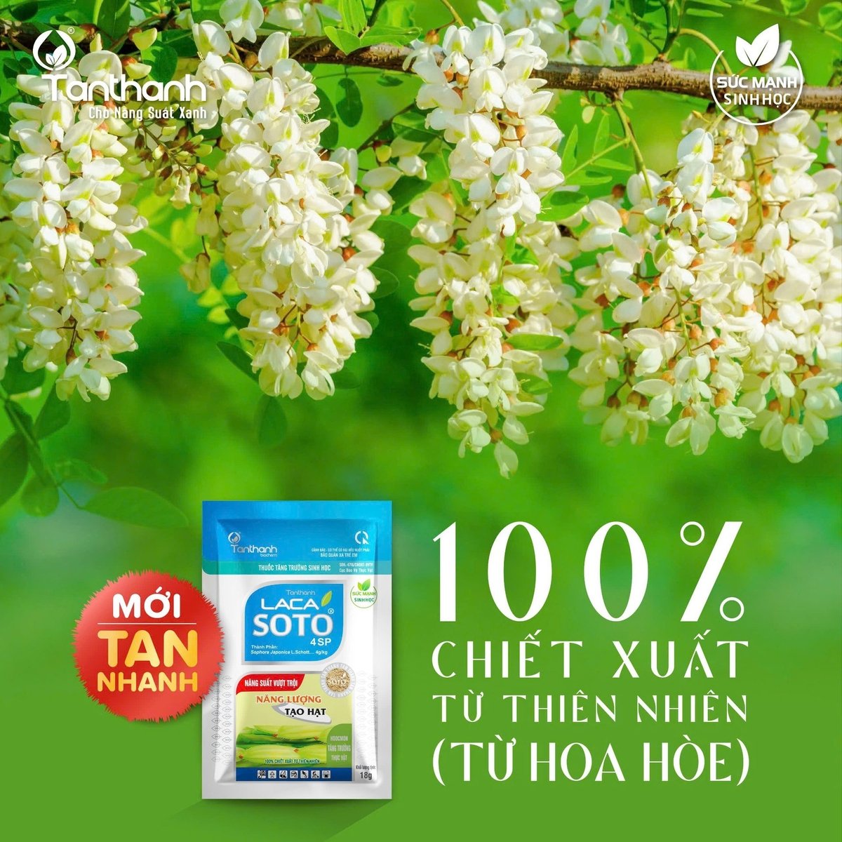 Lacasoto 4SP được chiết xuất từ thiên nhiên, điều này giúp sản phẩm không chỉ thân thiện với cây lúa mà còn bảo vệ môi trường. Ảnh: Tân Thành. Lacasoto 4SP được chiết xuất từ thiên nhiên, điều này giúp sản phẩm không chỉ thân thiện với cây lúa mà còn bảo vệ môi trường. Ảnh: Tân Thành.