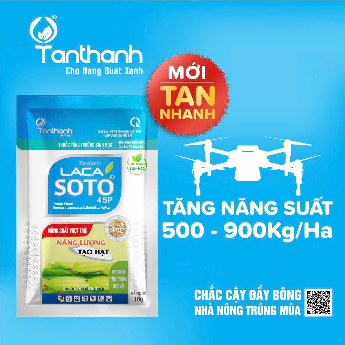 Chỉ với một lần phun Lacasoto 4SP trong cữ vô gạo, năng suất có thể tăng từ 500 đến 900 kg/ha. Ảnh: Tân Thành. Chỉ với một lần phun Lacasoto 4SP trong cữ vô gạo, năng suất có thể tăng từ 500 đến 900 kg/ha. Ảnh: Tân Thành.