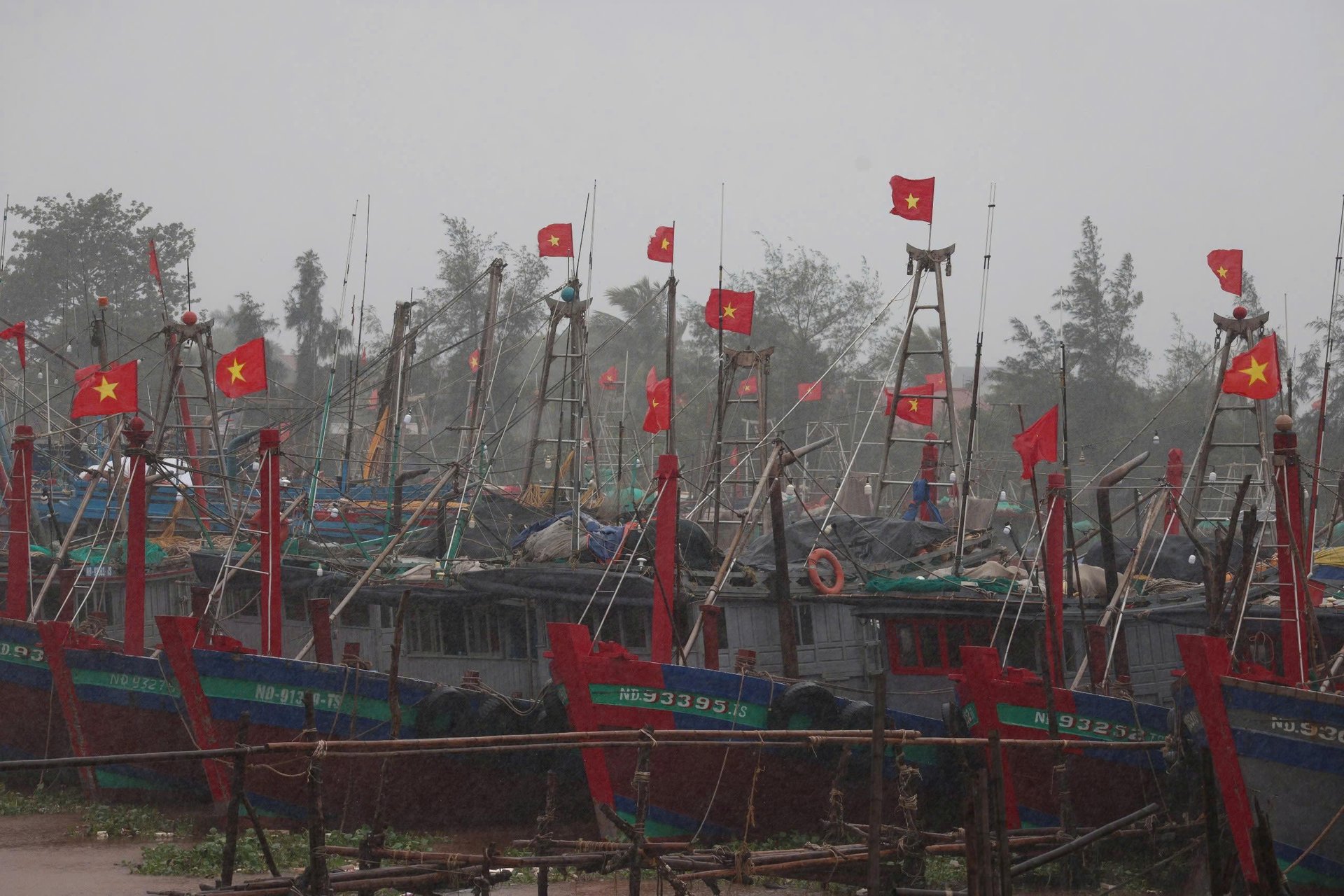 bao-so-3-wipha-do-bo-hung-yen--ninh-binh-103444_898