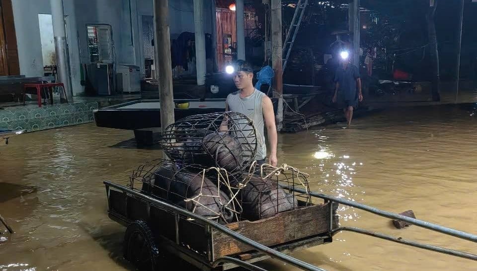 Người dân khổ sở ứng phó trong đêm. Ảnh: Cơ sở cung cấp. Người dân khổ sở ứng phó trong đêm. Ảnh: Cơ sở cung cấp.