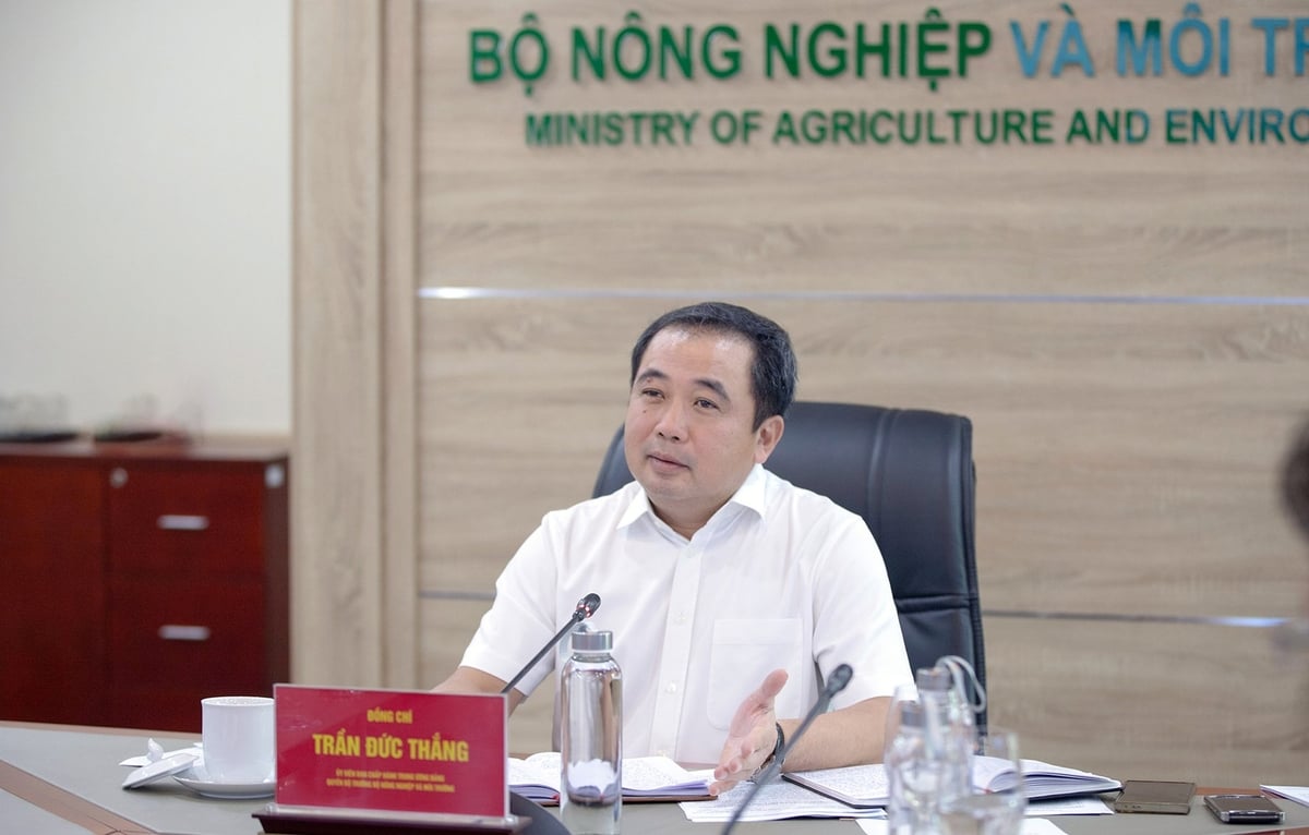 Quyền Bộ trưởng Bộ Nông nghiệp và Môi trường Trần Đức Thắng chủ trì cuộc họp triển khai xây dựng, sửa đổi các văn bản chính sách liên quan đến lĩnh vực đất đai và khoáng sản. Ảnh: Khương Trung. Quyền Bộ trưởng Bộ Nông nghiệp và Môi trường Trần Đức Thắng chủ trì cuộc họp triển khai xây dựng, sửa đổi các văn bản chính sách liên quan đến lĩnh vực đất đai và khoáng sản. Ảnh: Khương Trung.
