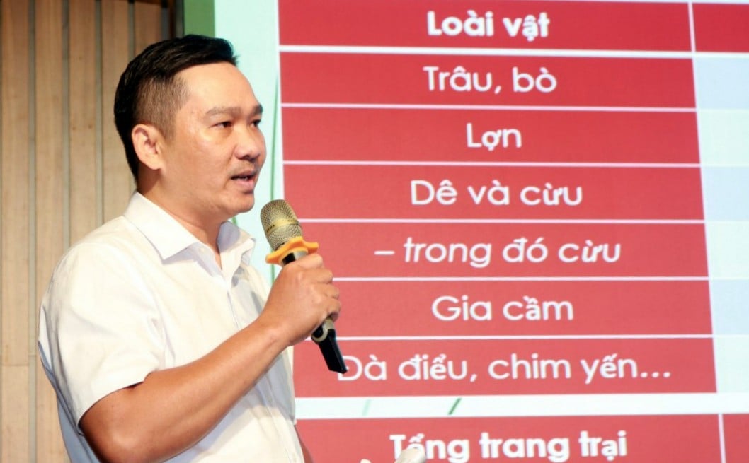 Ông Nguyễn Thái Bình, Phó trưởng phòng Chăn nuôi và Quản lý dịch bệnh (Chi cục Chăn nuôi và Thú y tỉnh Khánh Hòa) cho biết, tỉnh có đàn cừu lớn nhất cả nước. Ảnh: Kim Sơ. Ông Nguyễn Thái Bình, Phó trưởng phòng Chăn nuôi và Quản lý dịch bệnh (Chi cục Chăn nuôi và Thú y tỉnh Khánh Hòa) cho biết, tỉnh có đàn cừu lớn nhất cả nước. Ảnh: Kim Sơ.