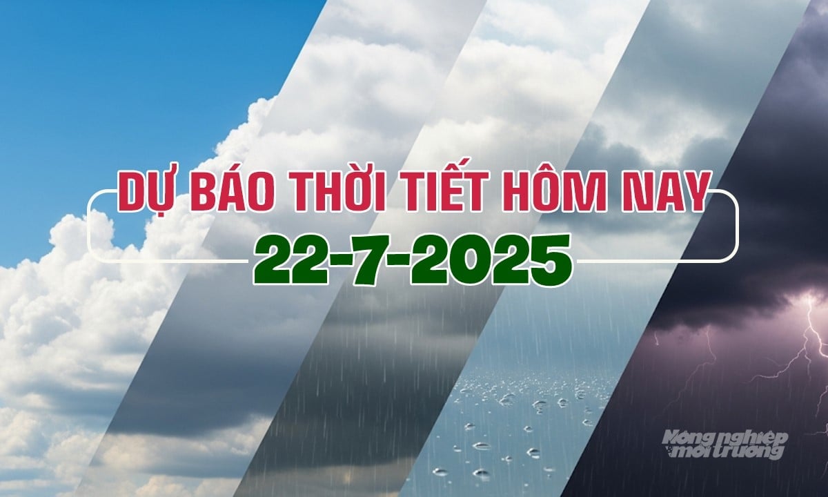 Tin tức thời tiết hôm nay 22/7/2025 trong cả nước Tin tức thời tiết hôm nay 22/7/2025 trong cả nước