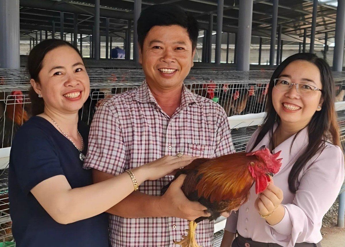 Ông Dương Thanh Bình sở hữu bí quyết lai tạo gà tre giống chất lượng thịt thơm ngon được Cục Sở hữu trí tuệ chấp nhận đơn đăng ký bảo hộ. Ảnh: Minh Đảm.