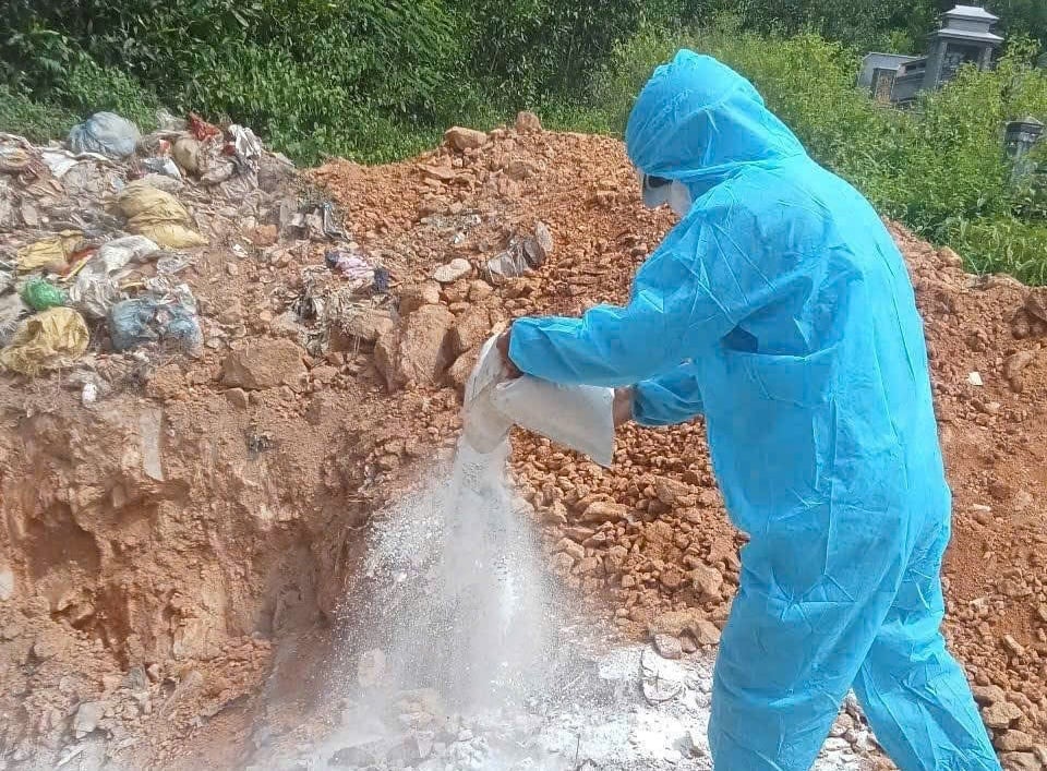 UBND tỉnh Quảng Ngãi yêu cầu huy động lực lượng, nguồn lực hợp pháp để kịp thời phát hiện, xử lý dứt điểm các ổ dịch. Ảnh: Võ Hà. UBND tỉnh Quảng Ngãi yêu cầu huy động lực lượng, nguồn lực hợp pháp để kịp thời phát hiện, xử lý dứt điểm các ổ dịch. Ảnh: Võ Hà.