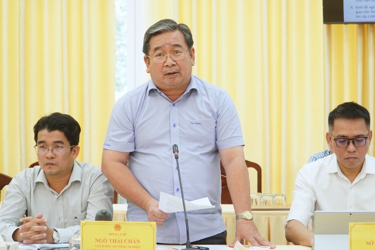 Ông Ngô Thái Chân – Giám đốc Sở Nông nghiệp và Môi trường TP. Cần Thơ làm rõ một số vấn đề về lĩnh vực đất đai, vật liệu san lấp liên quan đến kiến nghị của VSIP Cần Thơ. Ảnh: Kim Anh. Ông Ngô Thái Chân – Giám đốc Sở Nông nghiệp và Môi trường TP. Cần Thơ làm rõ một số vấn đề về lĩnh vực đất đai, vật liệu san lấp liên quan đến kiến nghị của VSIP Cần Thơ. Ảnh: Kim Anh.