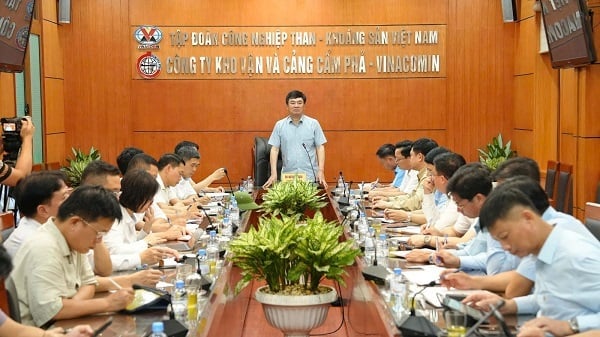 Chủ tịch HĐTV Tập đoàn Ngô Hoàng Ngân làm việc với các đơn vị vùng Cẩm Phả chỉ đạo công tác ứng phó bão số 3. Ảnh: TKV.