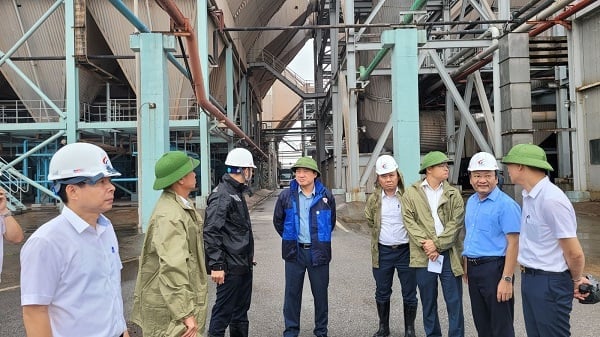Phó Tổng giám đốc Tập đoàn Phan Xuân Thủy kiểm tra công tác phòng chống, ứng phó bão số 3 tại Công ty Nhiệt điện Đông Triều. Ảnh: TKV.