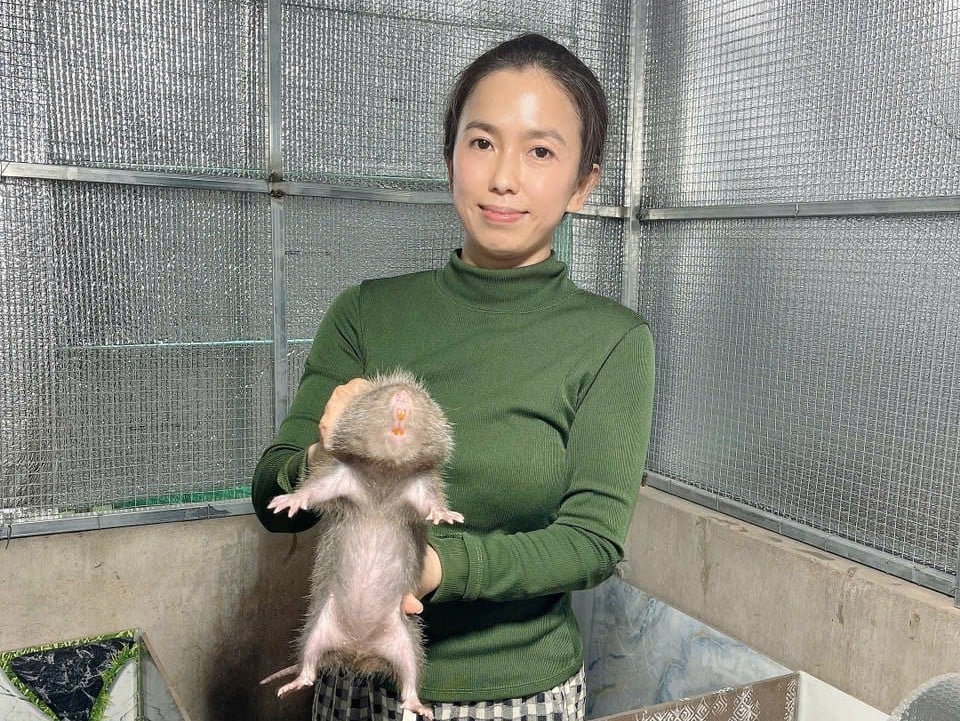 Chị Hiền, một trong những người mua dúi giống từ trại của Hiếu và đang nuôi thành công. Ảnh: Minh Đảm. Chị Hiền, một trong những người mua dúi giống từ trại của Hiếu và đang nuôi thành công. Ảnh: Minh Đảm.